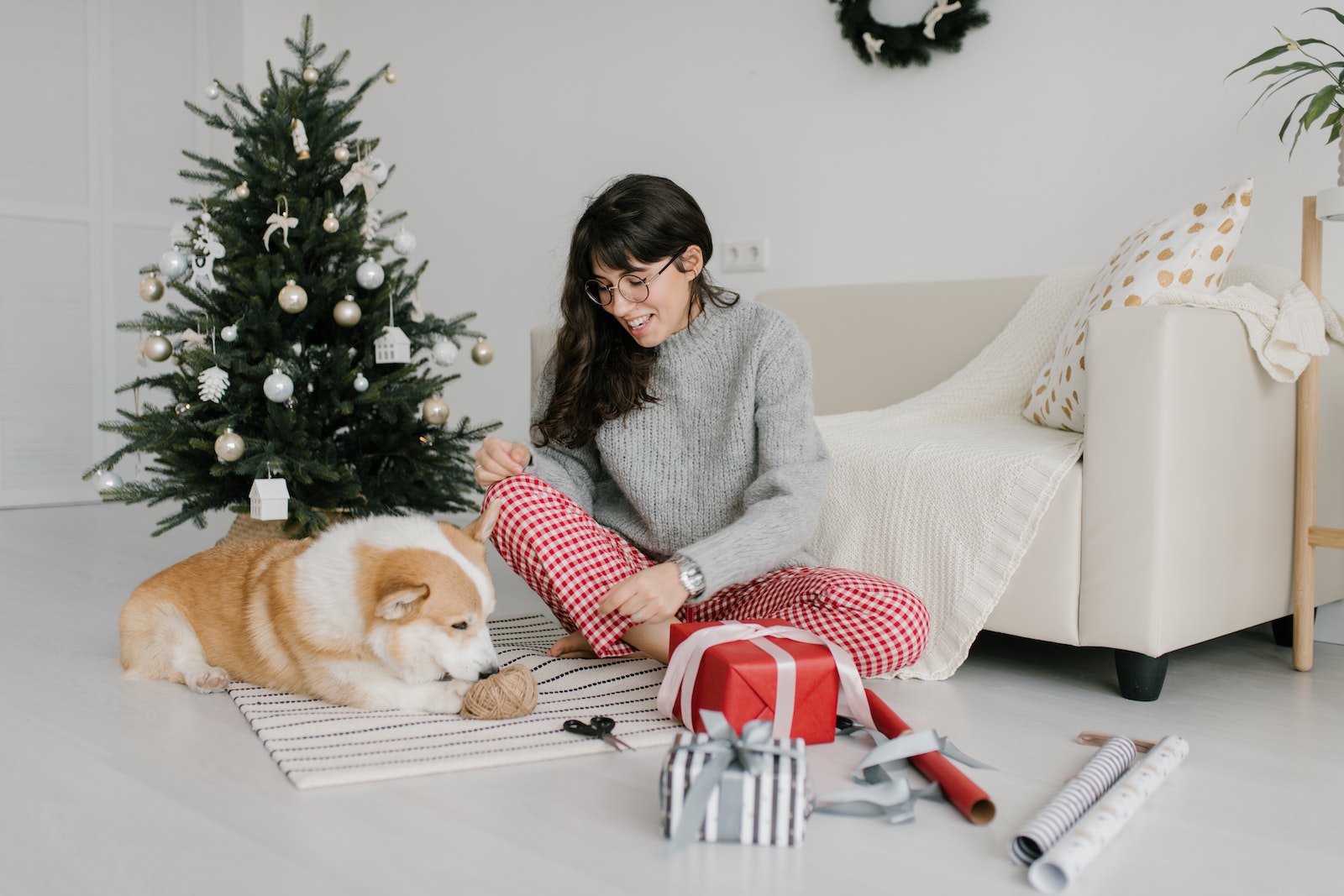 Why Does My Dog Lick the Couch ? And How to Stop It